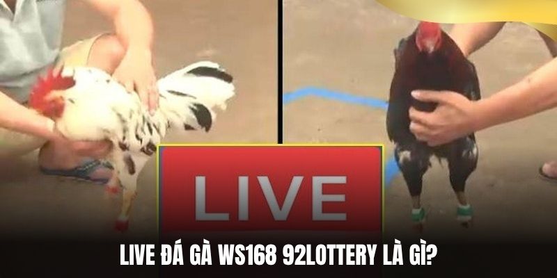 Live đá gà WS168 92Lottery là gì?